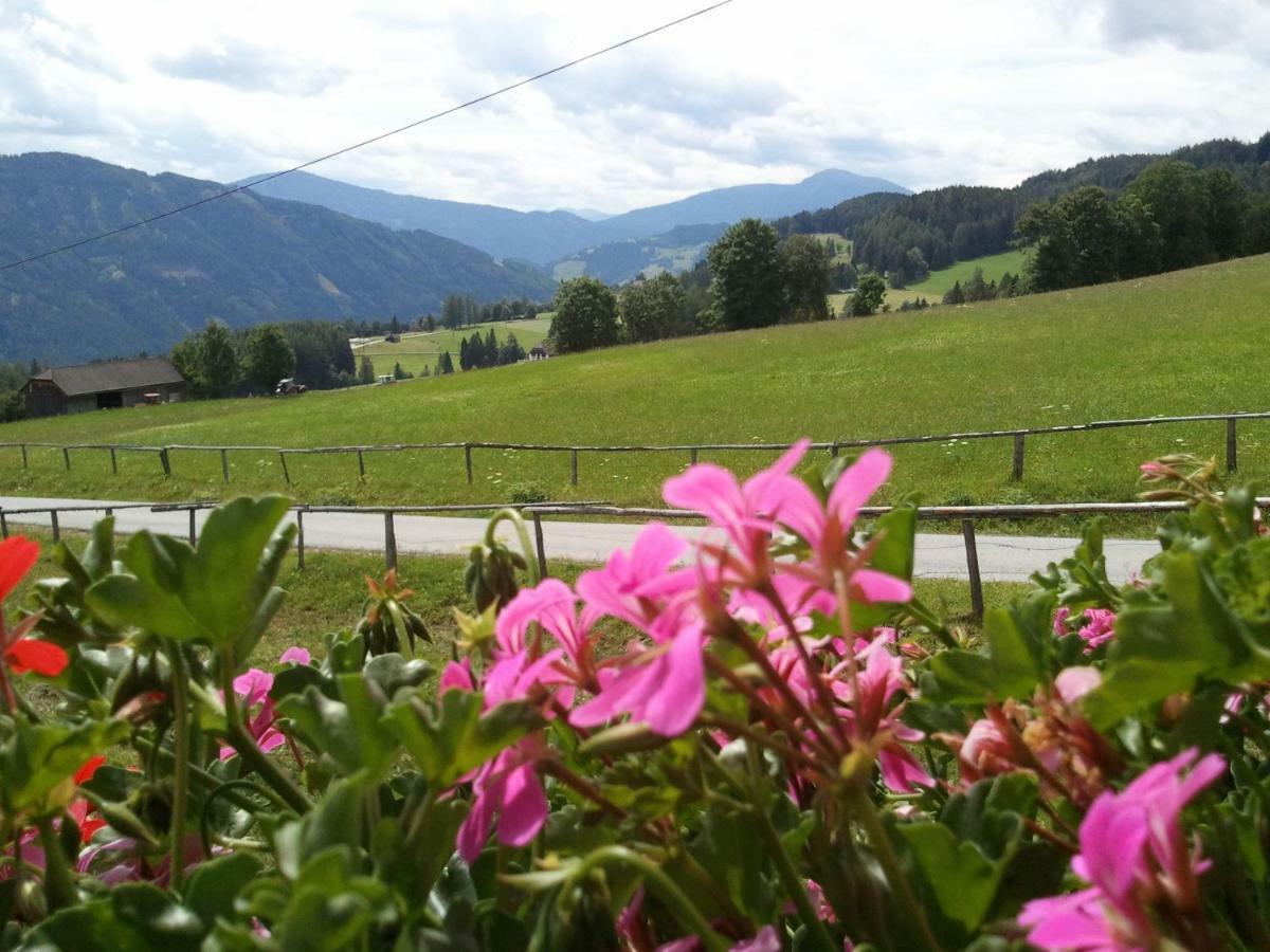 Rettlhof Villa Sankt Peter am Kammersberg ภายนอก รูปภาพ